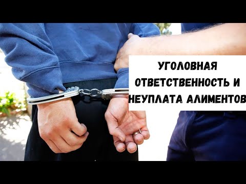 Уголовная ответственность за злостное уклонение от уплаты алиментов (157 УК РФ)