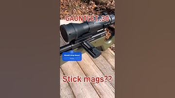 Umarex G2 .30 Extended Stick Mags? #umarex #gauntlet #30cal