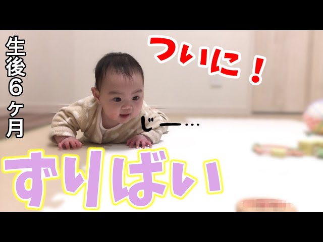 ずりばいの瞬間 生後6ヶ月赤ちゃんがおもちゃめがけてずりずり進む Youtube ずりばいの瞬間 生後6ヶ月赤ちゃんがおもちゃめがけてずりずり進む Youtube