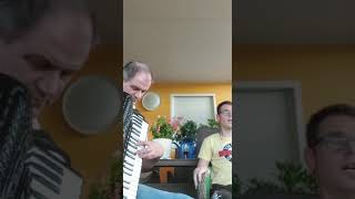 Video thumbnail of "Romanija- Halid Beslic- Harmonika"
