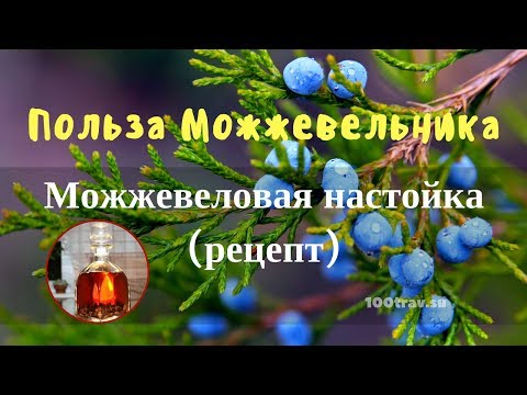 МОЖЖЕВЕЛЬНИК - ПОЛЕЗНЫЕ СВОЙСТВА. Можжевеловая настойка.
