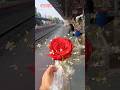 O' Romeo #minivlog #dhinkachika #entertainment #funnyshorts #valentinesday #rose