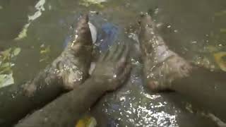 How To Make Pancake Art 0,5X Speed