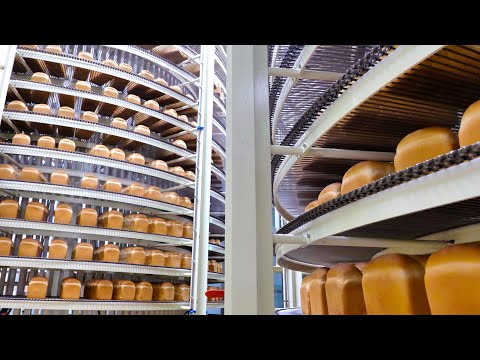 놀라실겁니다 ! 스케일이 남다른 우리밀 100% 식빵, 밤식빵 자동화 생산라인 | Automated White, Chestnuts Bread Mass Production line