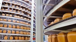 Automated White, Chestnuts Bread Mass Production line | Korean Dessert