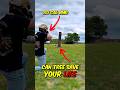 How Bulletproof Are Trees? .50 Cal!