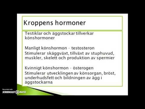 Video: Hur Hormoner Påverkar Oss