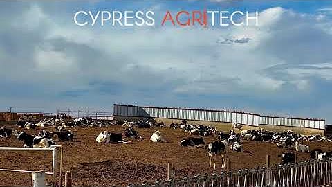 Protecting farm from bird damage with AVIX laser