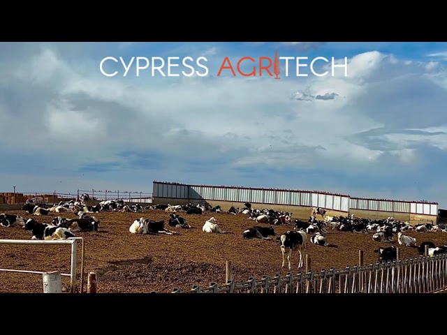 Protecting farm from bird damage with AVIX laser