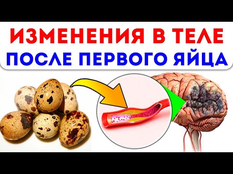 Видео: Продават ли се яйца в десетки?