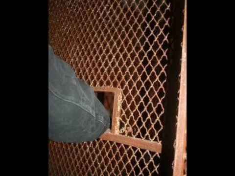 Haunted & Abandoned County Home / asylum Spencer Indiana Evp's and Pictures 12/18/2010