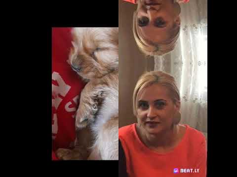 31 ოქტომბერი, 2021