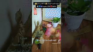 قراءة للبنت البيضاء👱🏼‍♀️ما القادم ماديا و عاطفيا❤️علاج روحاني🧝🏼‍♂️خطوبة💍شراء سيارة💃🏽0015613440488📲