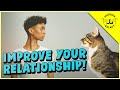 Cat vs Human: The KEY to a More Harmonious Life with Your Cat!