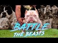 DCF Bulls Battle of The Beasts