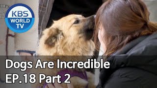Dogs are incredible | 개는 훌륭하다 EP.18 Part 2 [SUB : ENG/2020.03.24]