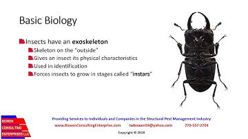 Session 11 Pest Biology and ID Part 1 Sample