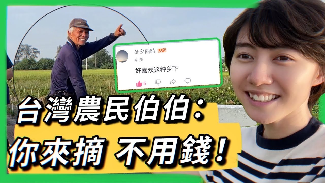 大陸網友喜歡的台式鄉下風光？路過陌生辣椒田，農民伯伯霸氣喊話：要多少自己摘！ ​⁠@EmmaSleepTaiwan ｜陸生在台灣