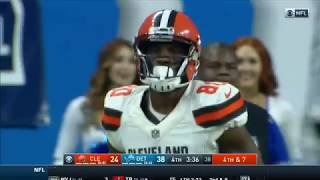 Ricardo Louis - Wide Receiver - Cleveland Browns 2017 Season / Campaign