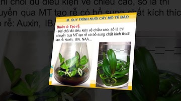 Công nghệ 10 - Bài 6 "Ứng dụng công nghệ nhân giống bằng phương pháp nuôi cấy mô tế bào"