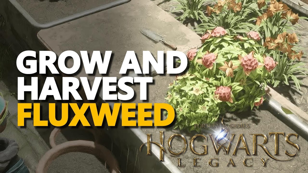 How to grow Fluxweed and Venomous Tentacula in Hogwarts Legacy - MMOPIXEL