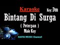 Bintang Di Surga (Karaoke) Peterpan Nada Pria/ Cowok/ Male key Dm