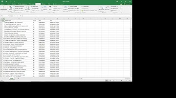 Importar y Exportar Datos desde o hacia Ecel