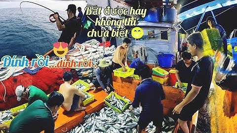 Làm lưới vừa xong cá cũng câu ăn liền tay|Đánh cá 2024-tập69|Sóng biển Hứa Đông