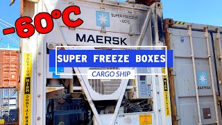 Super Freeze Shipping Containers -60 Degrees Celsius | Life At Sea