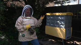Virtual Bee Keeping Course  - Come and join us?