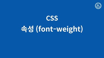 속성 (font-weight)