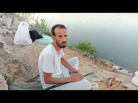 متعه صيد السمك البلطى بالغله احجام كبيره