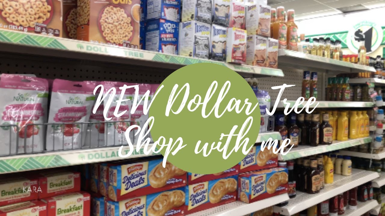 NEW Dollar Tree Shop with me -  Kara