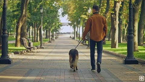 R&D 100 Winner 2023: Pre-symptomatic Chemical Detection of Seizure Events