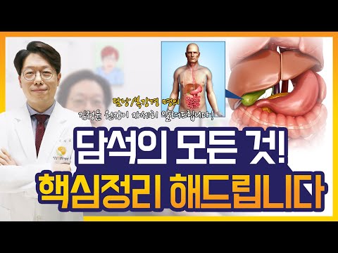 담석 원인,증상,진단,치료법! | 핵심 정리해드립니다!