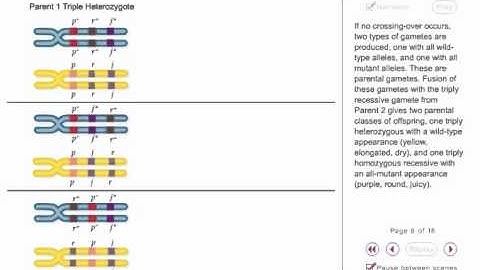 Three Point mapping Animation