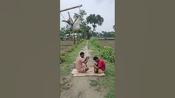 The two of them play Ludo together.