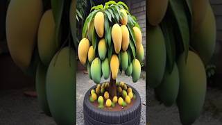 Easy Mango Tree Graft - Step -by - Step in One Minute! #shorts #satisfying #farming