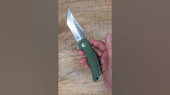 WILD BUDGET BANGER (Is it budget though?)