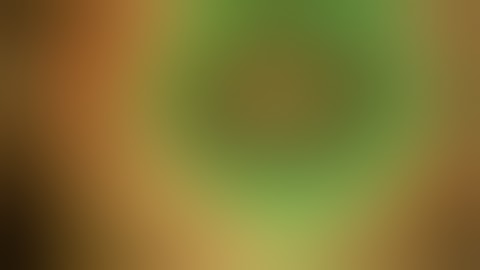 Intrascleral IOL fixation   "Double Needle" Technique