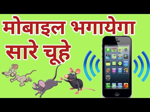 वीडियो: कैसे एक जाल जाल अपारदर्शी बनाने के लिए? 40 तस्वीरें पड़ोसियों से बाड़ कैसे बंद करें? छलावरण जाल छायांकन। बाड़ के साथ क्या लगाया जाए?