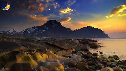 تلاوة خاشعة لسورة آل عمران - الوجه الثامن