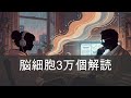 【脳科学】記憶の正体、ついに解読へ。3万個の脳細胞が明かす"選択性"の真実