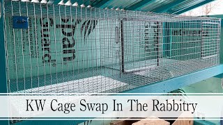 Time To Swap Out The DIY Cages For KW Cages!