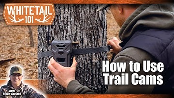 A Beginner’s Guide to Using Your Trail Camera