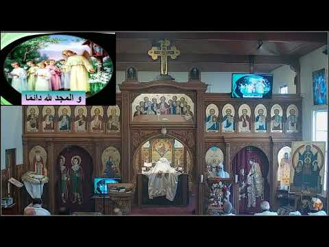 حياة التوبة أبونا دميان الأنطونى