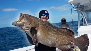 BIG Black Grouper Caught in the Dry Tortugas! (LIVE BAIT)