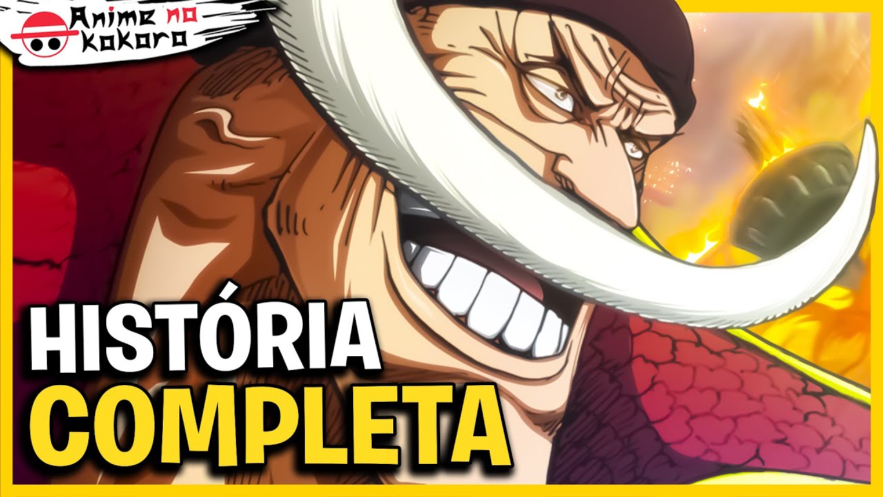 One Piece Com Esperança de que Chegará aos meus Companheiros! As