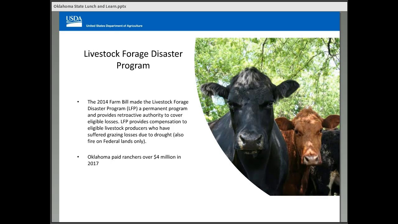 FSA Disaster Assistance Programs - 11/27/18 - YouTube