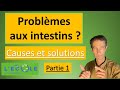 Problme aux intestins   causes indites et solutions  partie 1